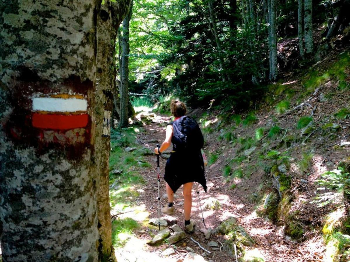 Naturaleza Y Aire Puro En El Pirineo Oriental En Una Bonita Casa Rural De Piedra Prats-de-Mollo-la-Preste Εξωτερικό φωτογραφία