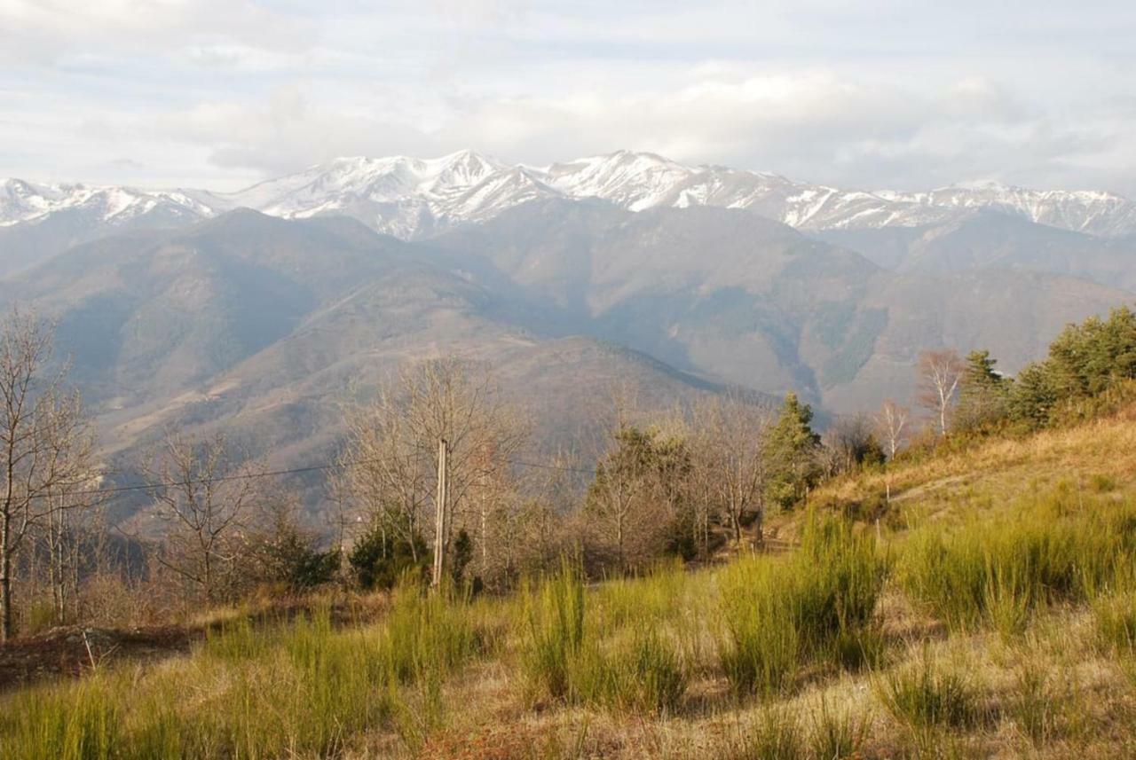 Naturaleza Y Aire Puro En El Pirineo Oriental En Una Bonita Casa Rural De Piedra Prats-de-Mollo-la-Preste Εξωτερικό φωτογραφία
