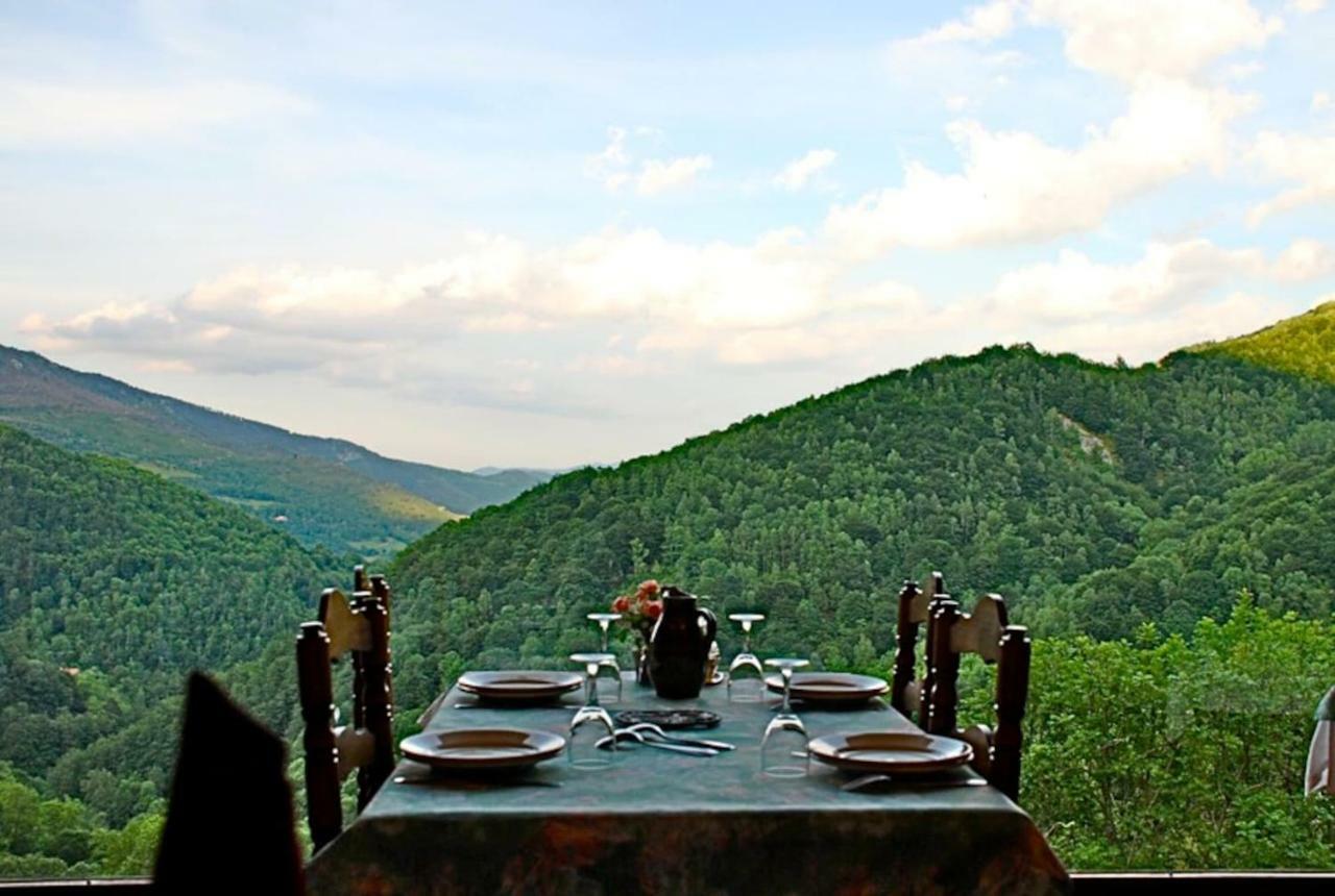 Naturaleza Y Aire Puro En El Pirineo Oriental En Una Bonita Casa Rural De Piedra Prats-de-Mollo-la-Preste Εξωτερικό φωτογραφία